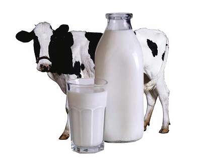 Домашнее коровье молоко (пастеризованное) 1 л