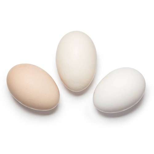 Яйцо куриное натуральное (10 шт)